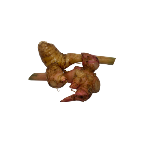 Blue Ginger