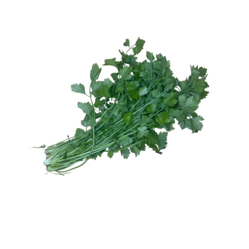 Chinese Parsley