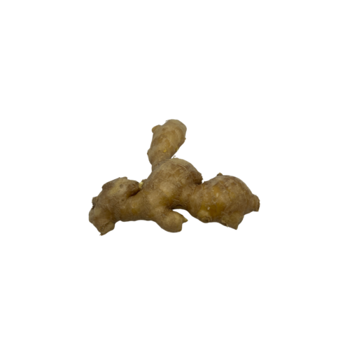 Old Ginger