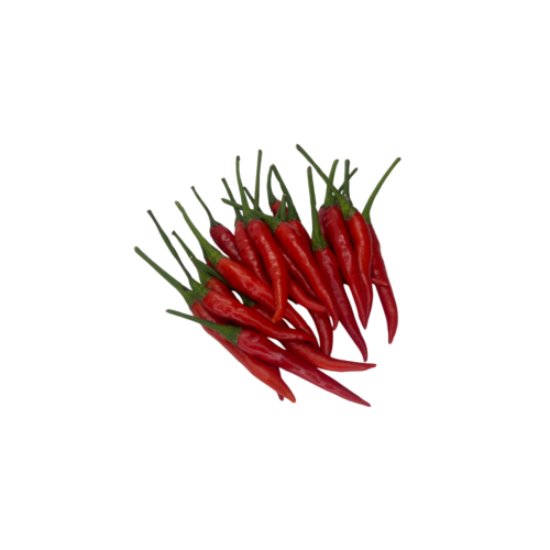 Red Chilli Padi